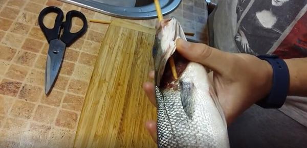 Вторая жизнь одноразовых вещей: 10 идей для дачи Вторая жизнь одноразовых вещей: 10 идей для дачи