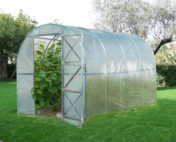 Как выбрать теплицу для дачи: особенности выбора, советы,фото Как выбрать теплицу для дачи: особенности выбора, советы,фото