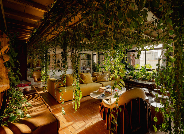 Настоящие городские джунгли: квартира в сан-паулу Настоящие городские джунгли: квартира в сан-паулу