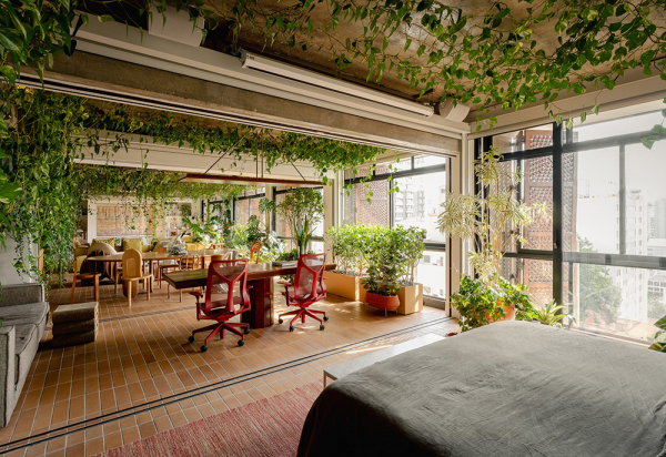 Настоящие городские джунгли: квартира в сан-паулу Настоящие городские джунгли: квартира в сан-паулу