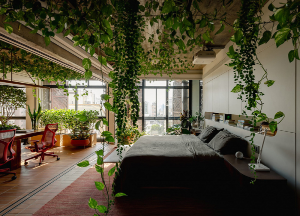 Настоящие городские джунгли: квартира в сан-паулу Настоящие городские джунгли: квартира в сан-паулу