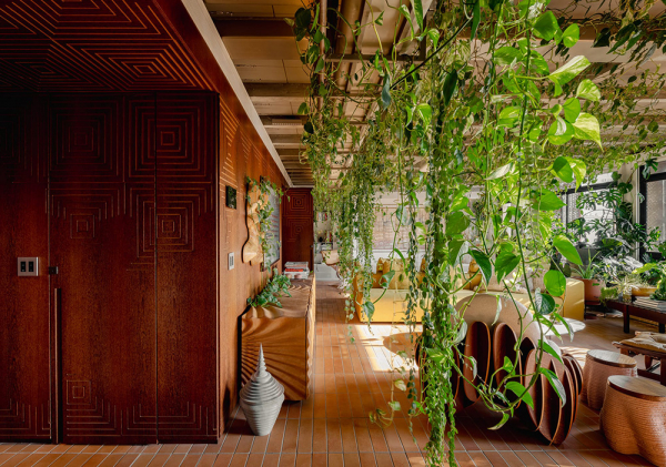 Настоящие городские джунгли: квартира в сан-паулу Настоящие городские джунгли: квартира в сан-паулу