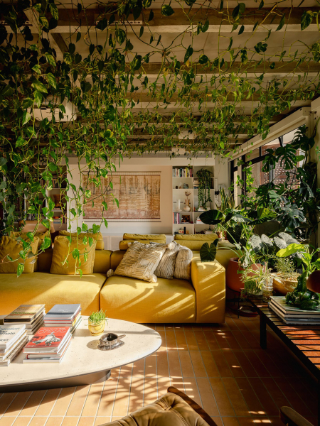 Настоящие городские джунгли: квартира в сан-паулу Настоящие городские джунгли: квартира в сан-паулу