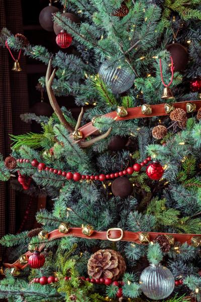 Праздники на горнолыжном курорте: интерьер в стиле рустик в монтане Праздники на горнолыжном курорте: интерьер в стиле рустик в монтане