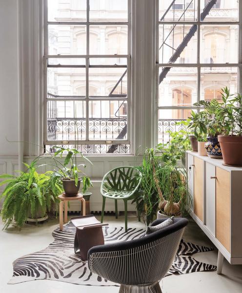 Впечатляющая высота потолков и живые растения: лофт коллекционера на манхеттене Впечатляющая высота потолков и живые растения: лофт коллекционера на манхеттене