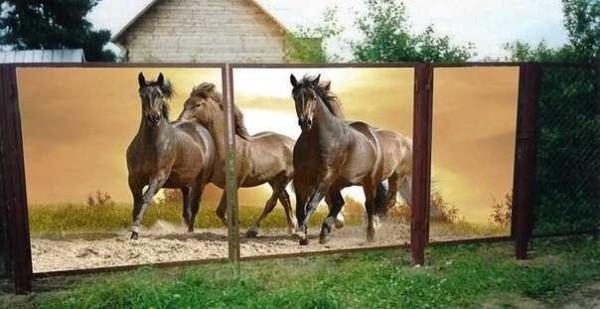 Фото-заборы: фото сетка для ограждений Фото-заборы: фото сетка для ограждений