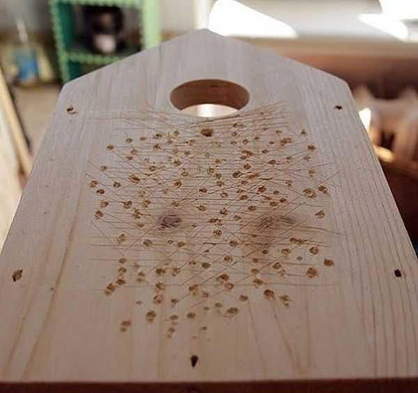 Как сделать скворечник: из досок и бревна для разных птиц Как сделать скворечник: из досок и бревна для разных птиц