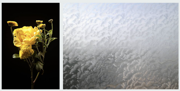 Отказ от обоев в 2026 году: современные решения для отделки стен Отказ от обоев в 2026 году: современные решения для отделки стен