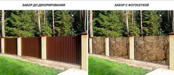 Фото-заборы: фото сетка для ограждений Фото-заборы: фото сетка для ограждений