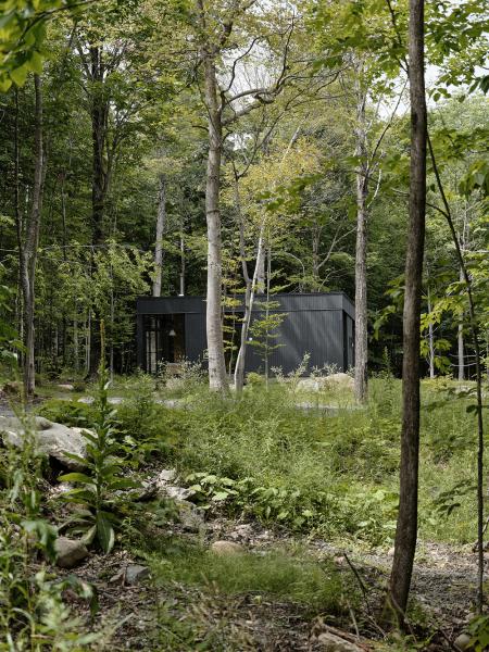 Затерянный в канадских лесах: современный домик для полного уединения Затерянный в канадских лесах: современный домик для полного уединения