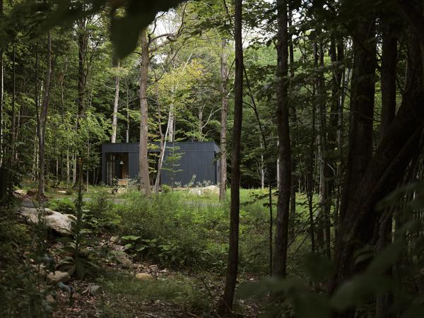 Затерянный в канадских лесах: современный домик для полного уединения Затерянный в канадских лесах: современный домик для полного уединения