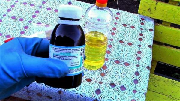 Как надежно защитить плодовые деревья с помощью креолина Как надежно защитить плодовые деревья с помощью креолина