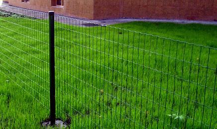 Заборы из сварной сетки с полимерным покрытием Заборы из сварной сетки с полимерным покрытием
