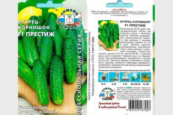 Топ-35 сортов огурцов для открытого грунта 2023 года – фото с описанием Топ-35 сортов огурцов для открытого грунта 2023 года – фото с описанием