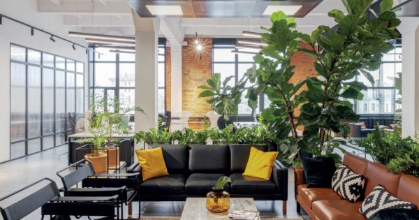 Растения и интерьер как система, а не декор Растения и интерьер как система, а не декор