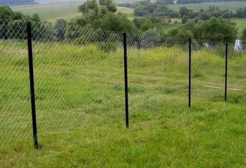 Забор из уголка и сетки-рабицы Забор из уголка и сетки-рабицы