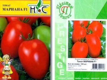 55 лучших сортов томатов на 2023 год 55 лучших сортов томатов на 2023 год