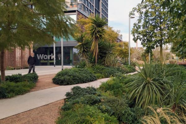 Город без дорог – утопия или новый стандарт градостроительства? Реальные примеры Город без дорог – утопия или новый стандарт градостроительства? Реальные примеры