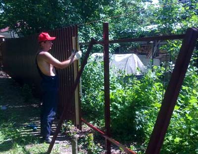 Заборы из евроштакетника Заборы из евроштакетника