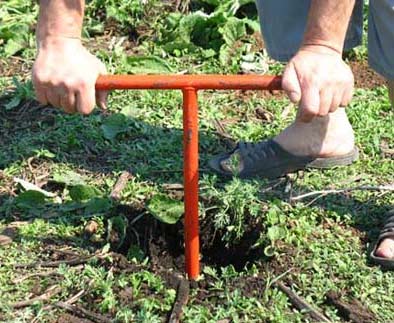 Заборы из евроштакетника Заборы из евроштакетника