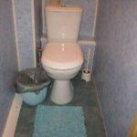 Оформление туалета: разрабатываем дизайн сами Оформление туалета: разрабатываем дизайн сами