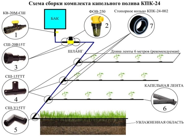Системы капельного полива: производители, комплектация, отзывы Системы капельного полива: производители, комплектация, отзывы