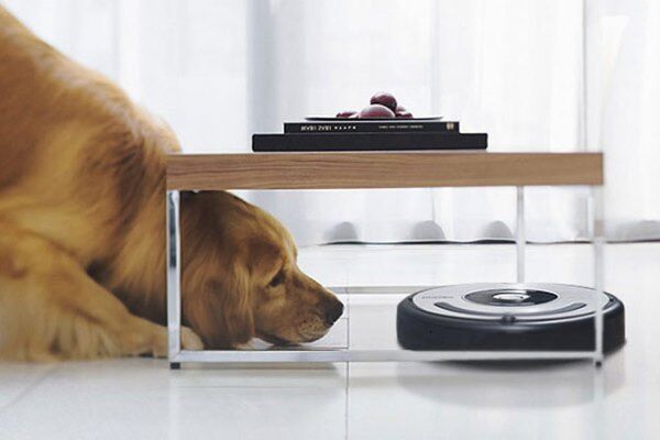 Пылесосы с контейнером для пыли: топ-19 лучших моделей + рекомендации покупателям