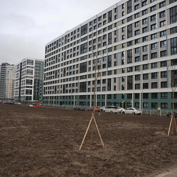 Из пены морской и песка. Что изменилось за пять лет на намыве васильевского острова Из пены морской и песка. Что изменилось за пять лет на намыве васильевского острова