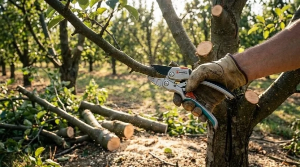 Секаторы: особенности устройства с храповым механизмом Секаторы: особенности устройства с храповым механизмом