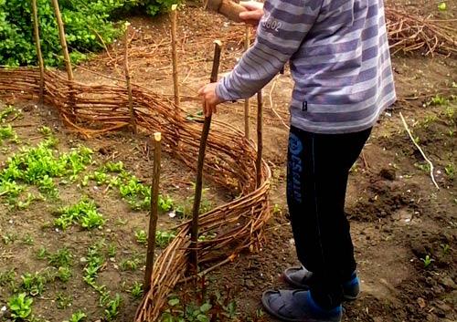 Плетеные заборы Плетеные заборы