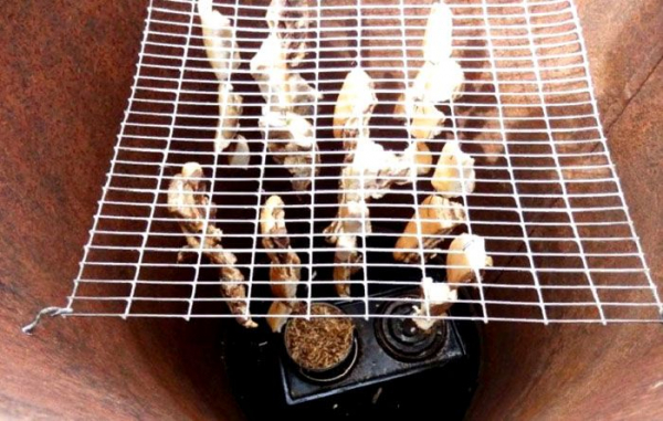 Как сделать дымогенератор для холодного копчения своими руками: чертежи, видео Как сделать дымогенератор для холодного копчения своими руками: чертежи, видео