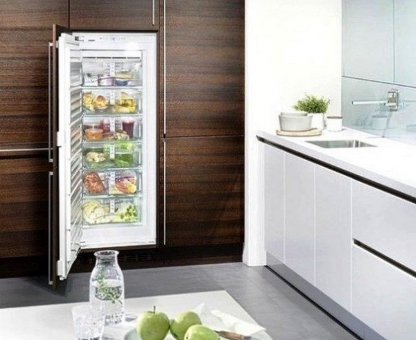 Лучшие морозильные камеры для дома 2023 года Лучшие морозильные камеры для дома 2023 года