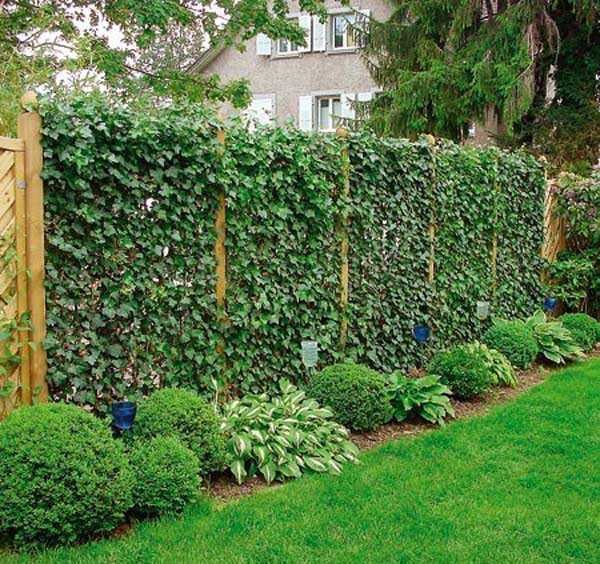 Как поставить забор из сетки-рабицы Как поставить забор из сетки-рабицы