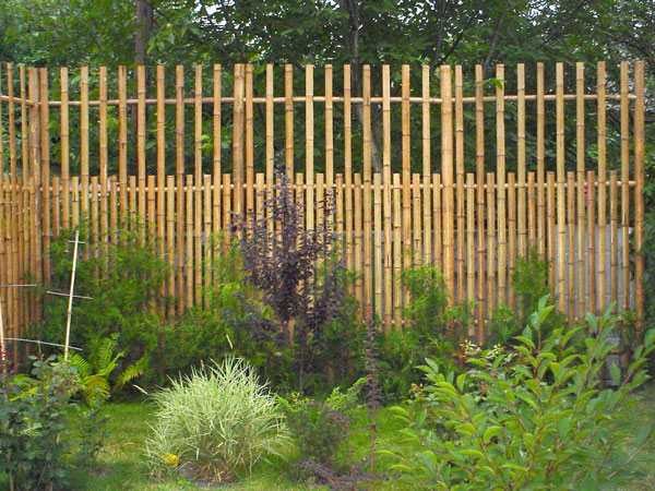 Как украсить садовый, приусадебный, дачный участок (50 фото) Как украсить садовый, приусадебный, дачный участок (50 фото)