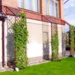 Как украсить садовый, приусадебный, дачный участок (50 фото) Как украсить садовый, приусадебный, дачный участок (50 фото)