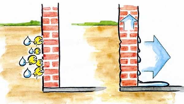 Как высушить погреб: избавиться от сырости, конденсата, плесени Как высушить погреб: избавиться от сырости, конденсата, плесени