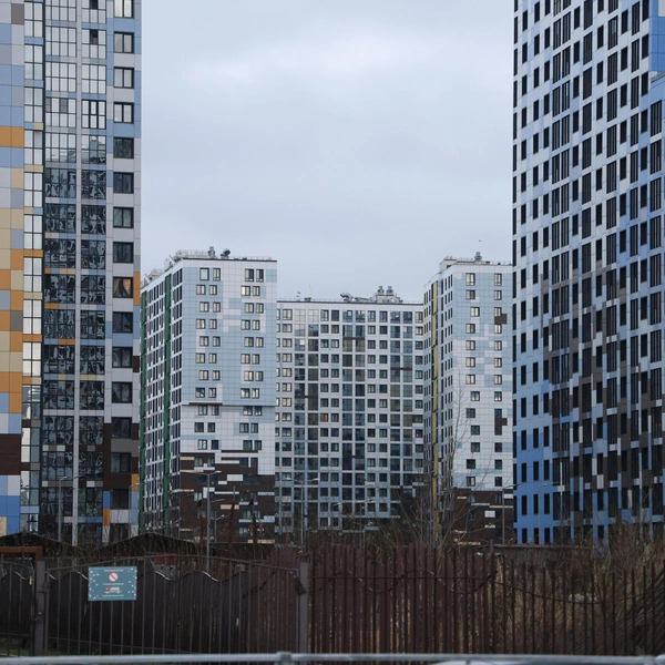 Из пены морской и песка. Что изменилось за пять лет на намыве васильевского острова Из пены морской и песка. Что изменилось за пять лет на намыве васильевского острова