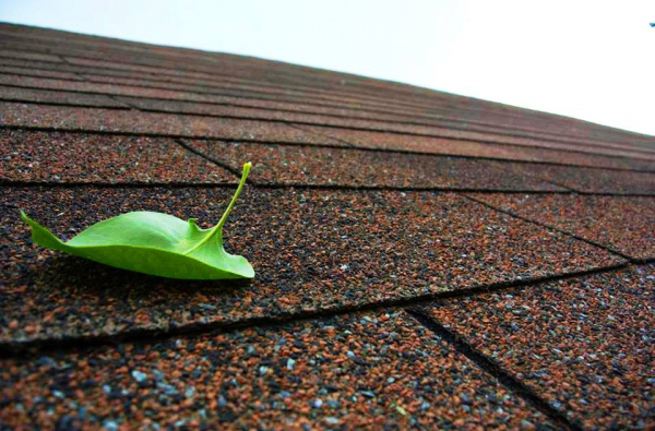 Мягкая черепица: обзор, виды, характеристики, отзывы + лучшие бренды Мягкая черепица: обзор, виды, характеристики, отзывы + лучшие бренды