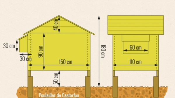 Курятник своими руками: предварительная подготовка и пошаговая инструкция изготовления Курятник своими руками: предварительная подготовка и пошаговая инструкция изготовления