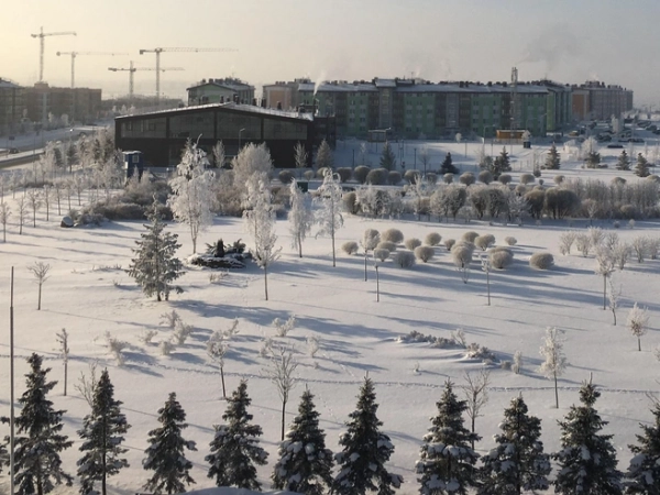 Царскосельские холмы: от императорских резиденций до современных кварталов Царскосельские холмы: от императорских резиденций до современных кварталов