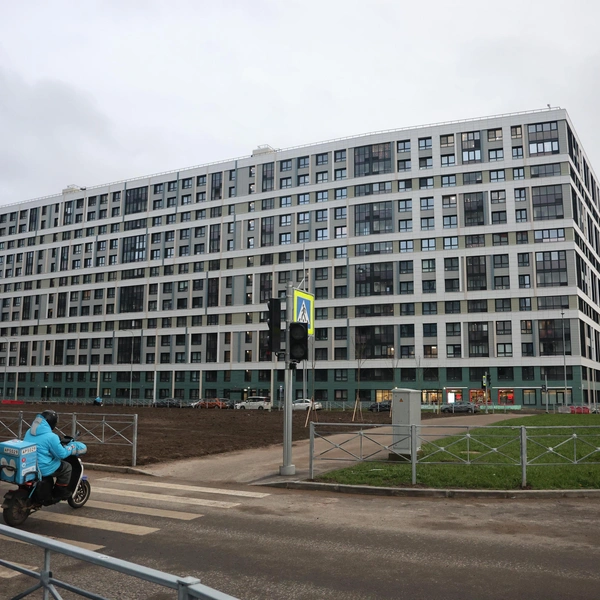 Из пены морской и песка. Что изменилось за пять лет на намыве васильевского острова Из пены морской и песка. Что изменилось за пять лет на намыве васильевского острова