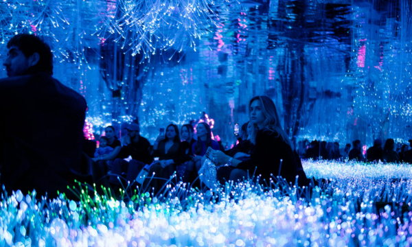 «путь к мечте»: в москве покажут первоев россии фиджитал-шоу «путь к мечте»: в москве покажут первоев россии фиджитал-шоу