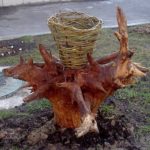 Как украсить садовый, приусадебный, дачный участок (50 фото) Как украсить садовый, приусадебный, дачный участок (50 фото)