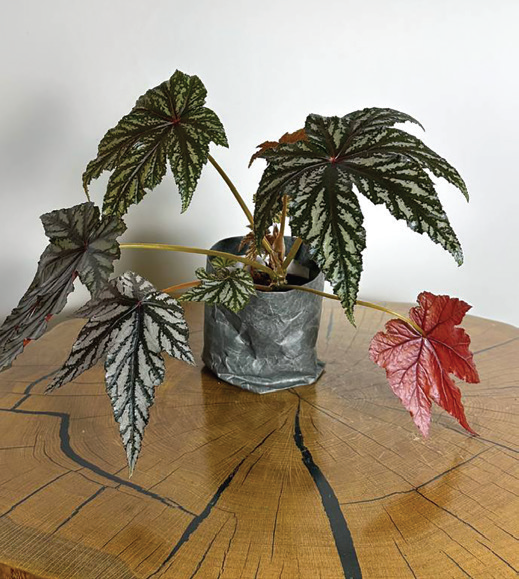 Когда цвет решает: Когда цвет решает: