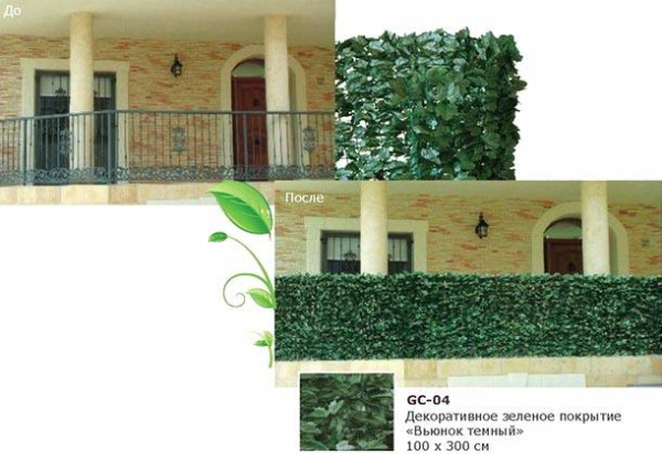 Зеленая изгородь на садовом участке Зеленая изгородь на садовом участке