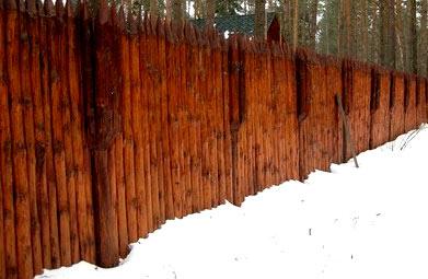 Строительство забора из лиственницы Строительство забора из лиственницы