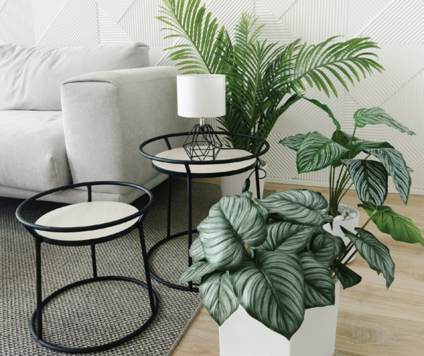 Когда цвет решает: Когда цвет решает: