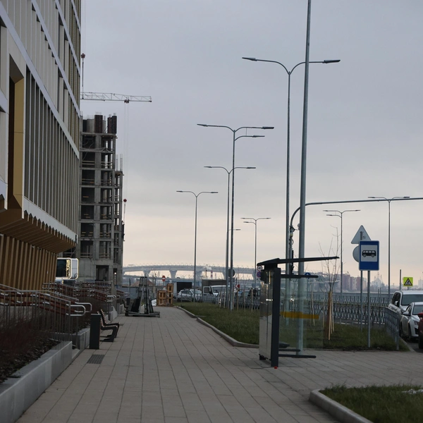 Из пены морской и песка. Что изменилось за пять лет на намыве васильевского острова Из пены морской и песка. Что изменилось за пять лет на намыве васильевского острова