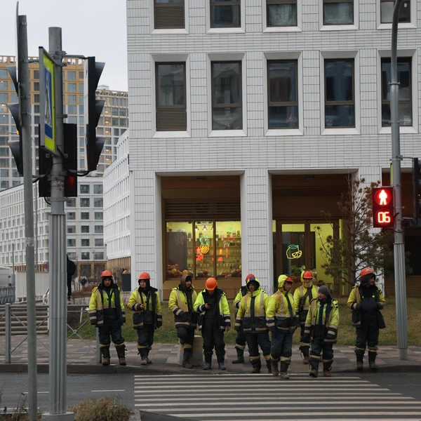 Из пены морской и песка. Что изменилось за пять лет на намыве васильевского острова Из пены морской и песка. Что изменилось за пять лет на намыве васильевского острова