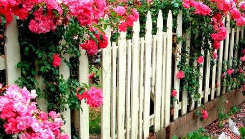 Установка забора из деревянного штакетника Установка забора из деревянного штакетника